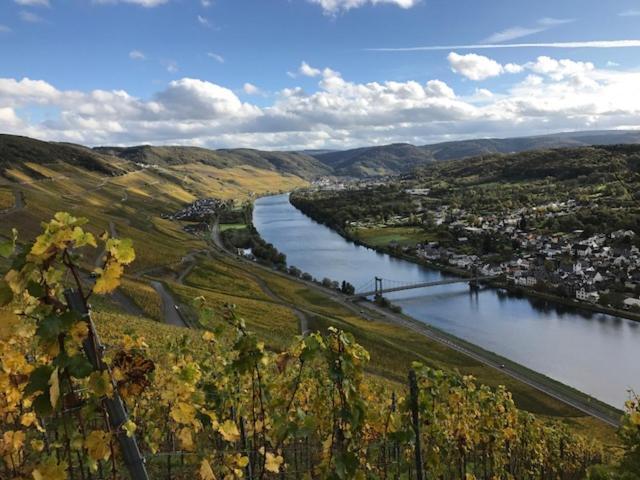 Отель Ferien-Wein-Gut Keifer Бернкастель-Кюс Экстерьер фото