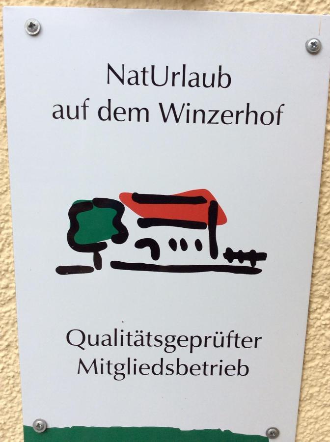 Отель Ferien-Wein-Gut Keifer Бернкастель-Кюс Экстерьер фото